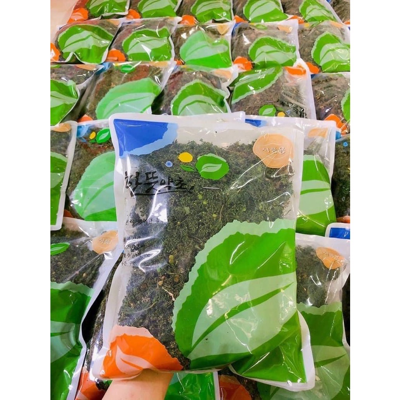 [Hàng Date Mới] Trà Hoa Sâm Sấy Khô Hàn Quốc 500gr