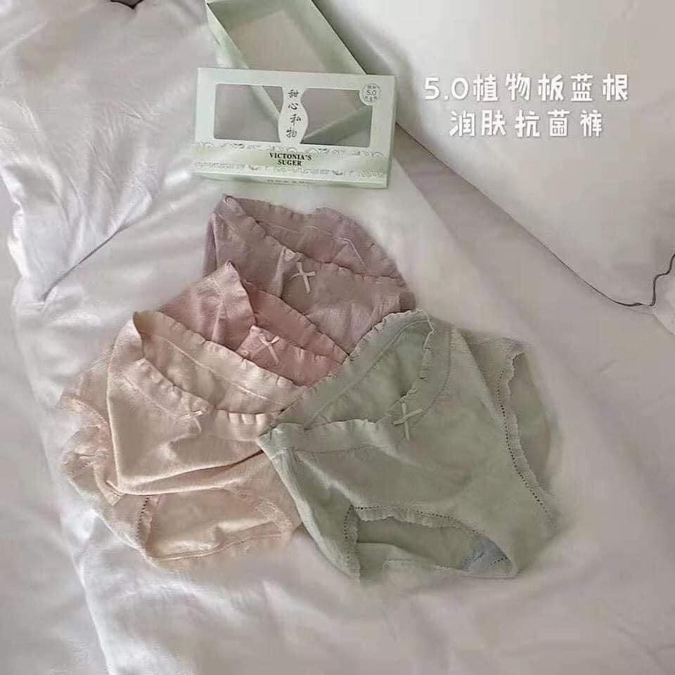 Quần lót nữ, quần chip cotton kháng khuẩn thoáng mát phối viền đính nơ xinh - mã HHH | BigBuy360 - bigbuy360.vn