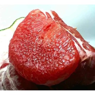 BƯỞI RUBY THÁI LAN