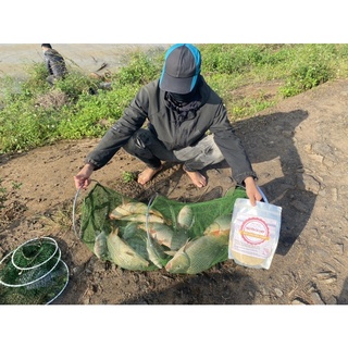 mồi câu nguyên cá chép