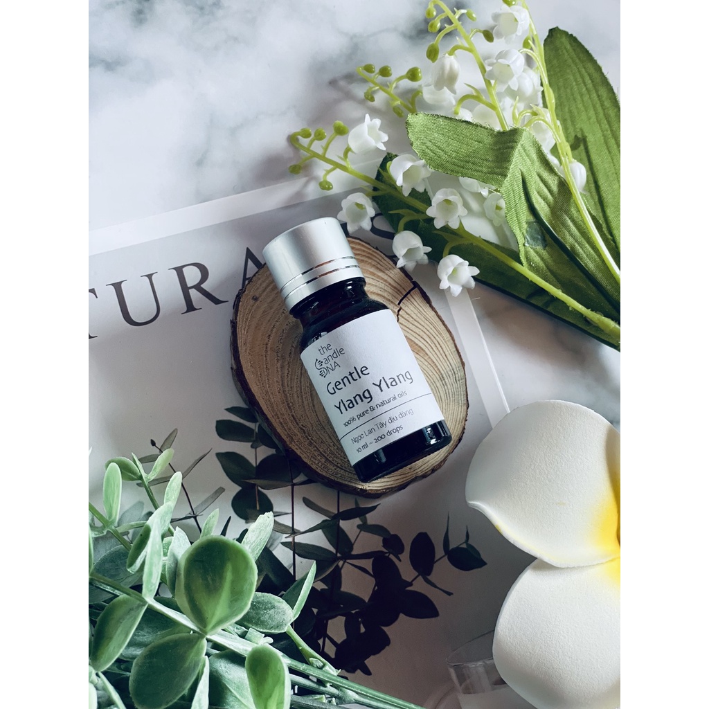 - Tinh dầu thiên nhiên họ HOA - 10ml nguyên chất - The Candle DNA