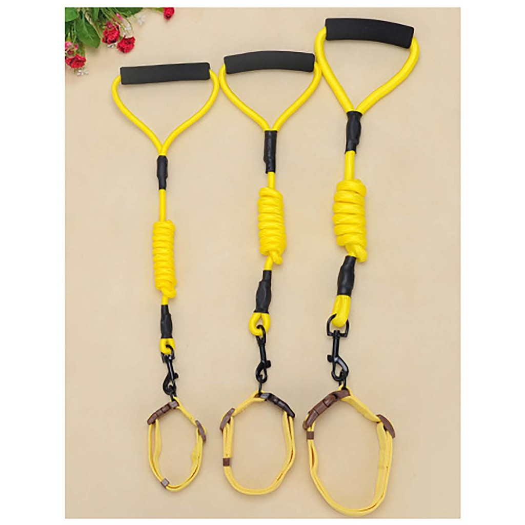 Dây Dắt Chó Cao Cấp - Tặng Kèm Vòng Cổ - Dây Dắt 012