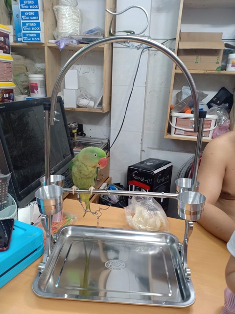 Cầu đứng inox nhỏ , trung , đại cho vẹt.
