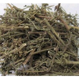Kinh giới khô 100g