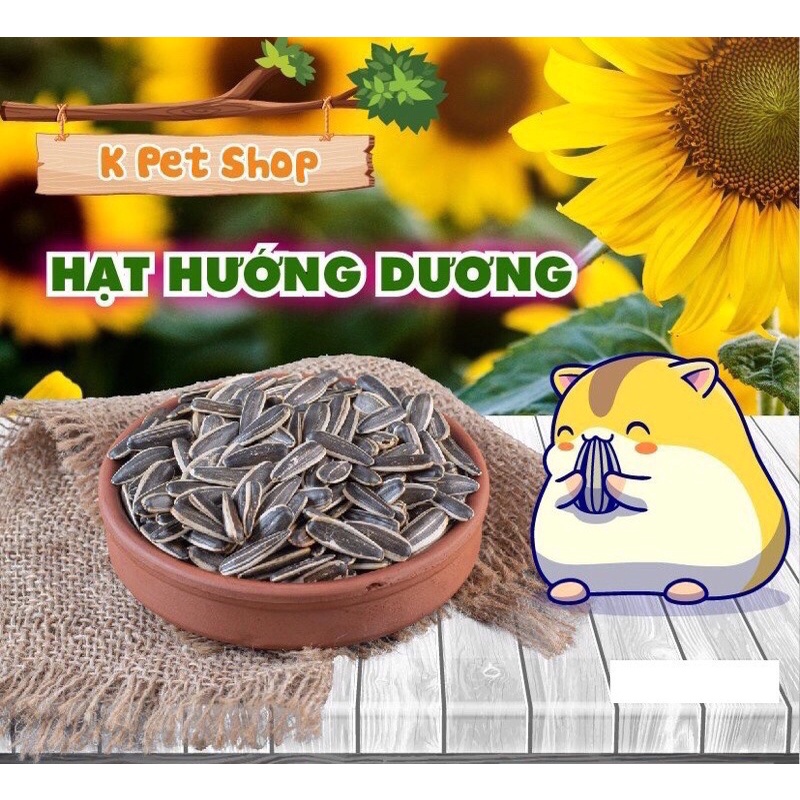 Hạt Hướng Dương 🐶 Thức Ăn Dặm 100g Đồ Ăn Dặm Dành Cho Hamster Sóc Vẹt