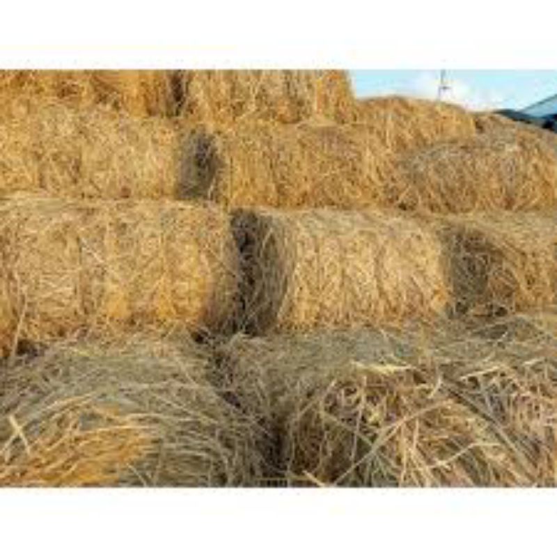 Combo 5kg Rơm khô/rơm trang trí/rơm cho pet