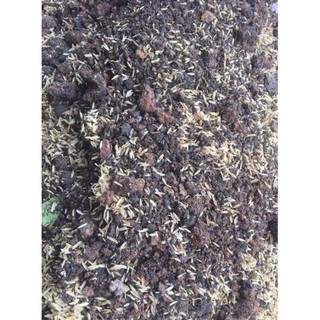 Đất trồng dinh dưỡng cho cây hoa 1kg