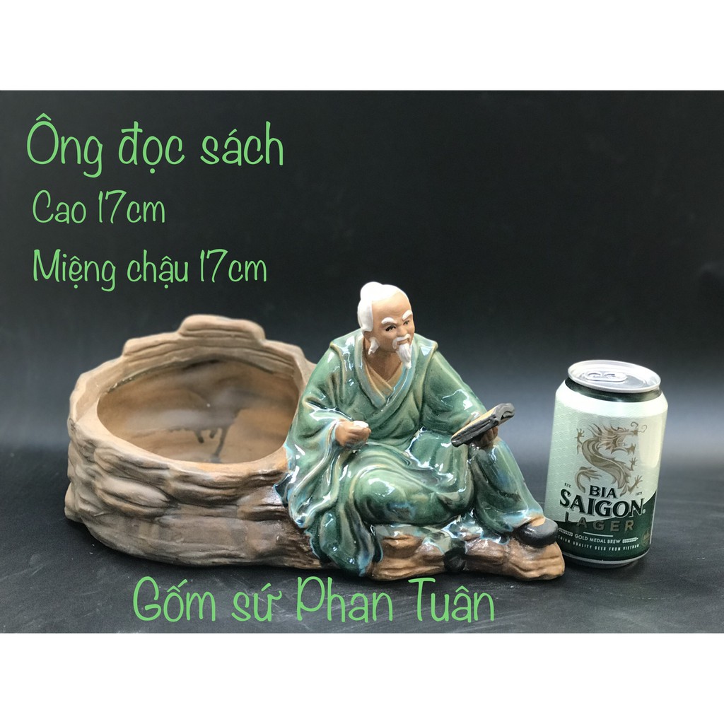 Chậu tượng bonsai đọc sách