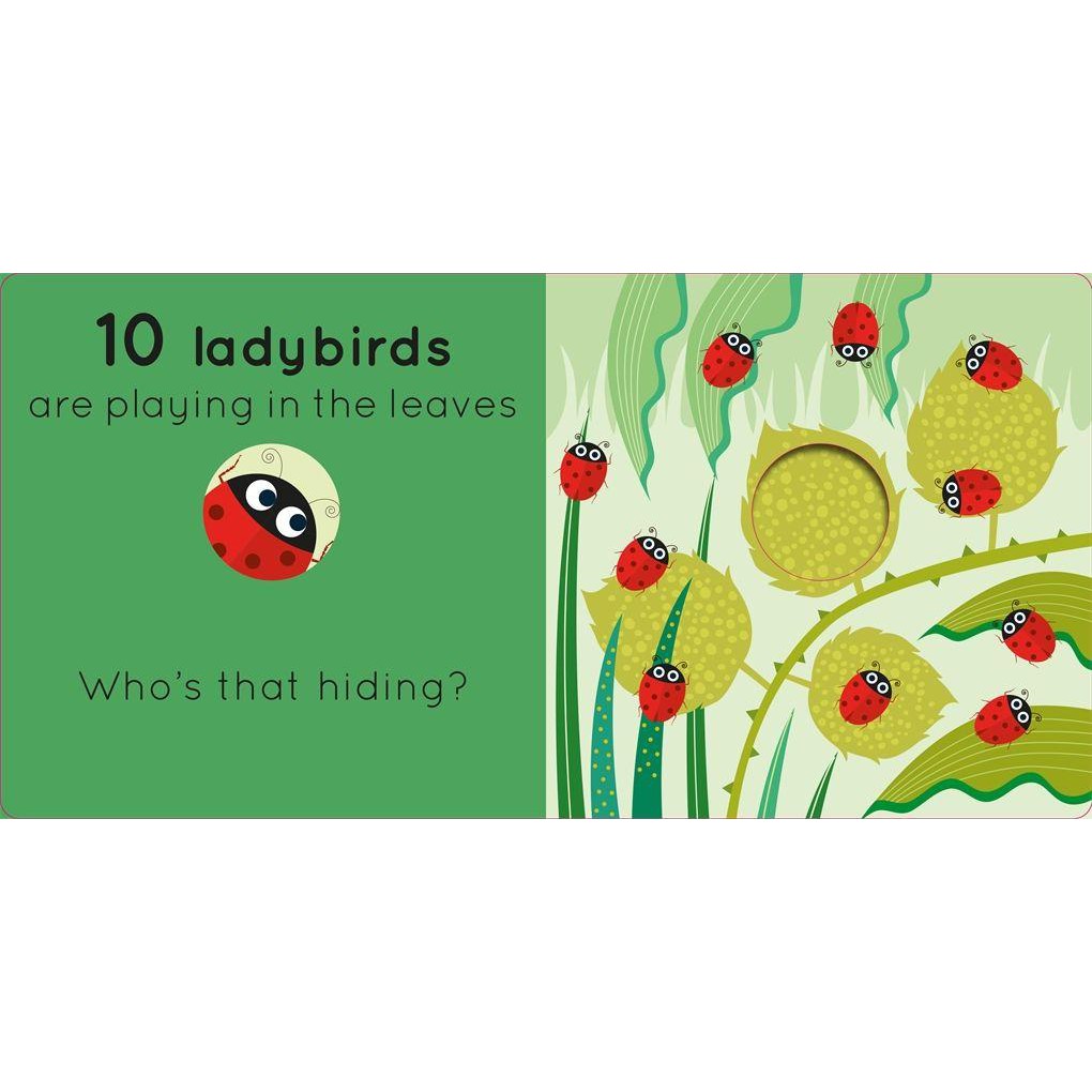 Sách : How Many Bugs? : A board book with peek-through pages - Có bao nhiêu loại côn trùng