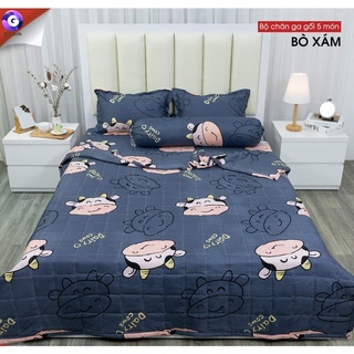 Mẫu mới bộ 5 món chăn ga gối bò sữa xám