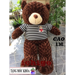 Gấu bông Teddy Cao Cấp khổ vải 1m2 Cao 1M màu Nâu hàng VNXK