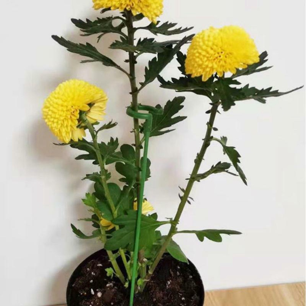 Set 10 Giá Đỡ Hỗ Trợ Trồng Hoa Lan / Bướm Kích Thước 17 / 27 / 37cm