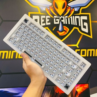 Kit bàn phím cơ AKKO ACR75 (81 nút Hotswap / RGB / Foam tiêu âm / Gasket Mount)