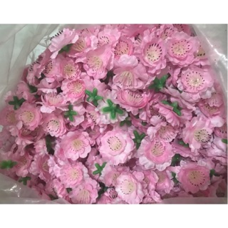 HOA ANH ĐÀO