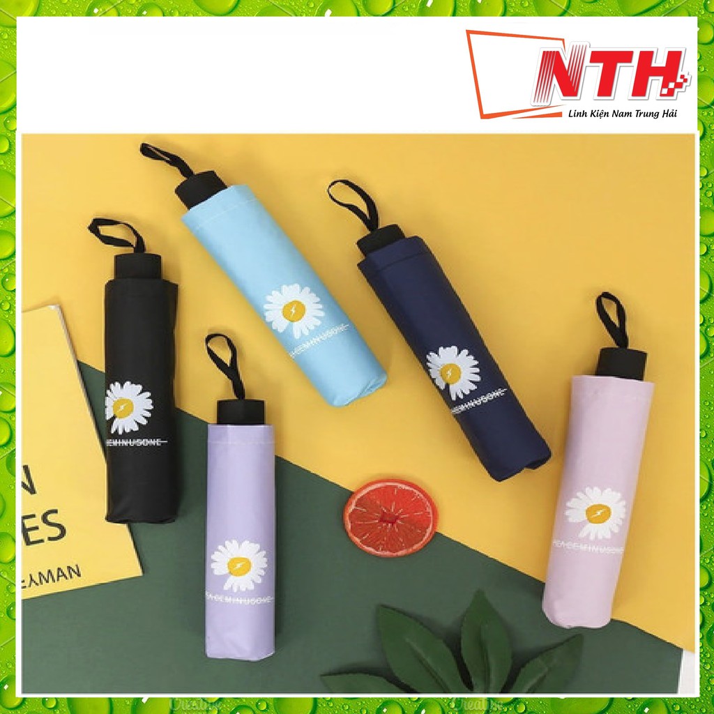 DÙ ĐI MƯA HÌNH HOA CÚC - 1 CHIỀU - MÀU NGẪU NHIÊN