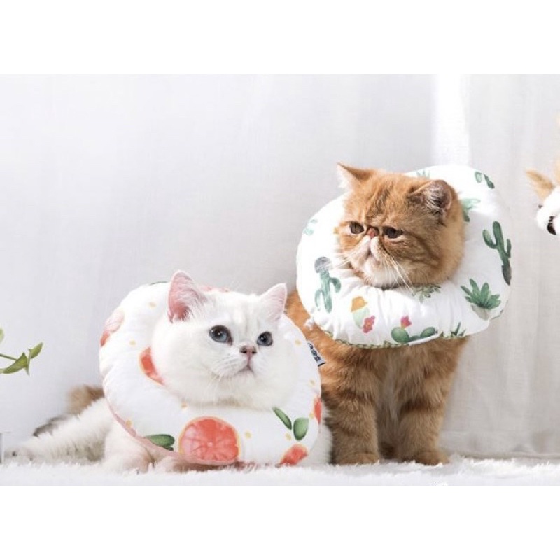 Gối Chống Liếm Cho Chó Mèo Nhiều Mẫu Nhiều Size - Xiuxiu Giang
