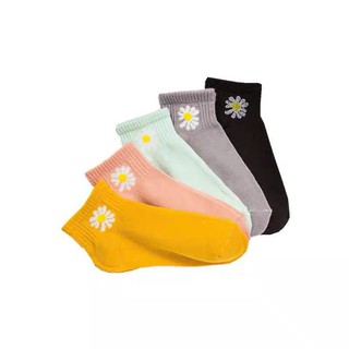 Combo tất hoa cúc, tất gấu 3 đôi