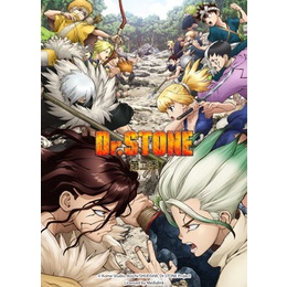 Combo Khung hình- poster DR. Stone đủ 21q+ thêm