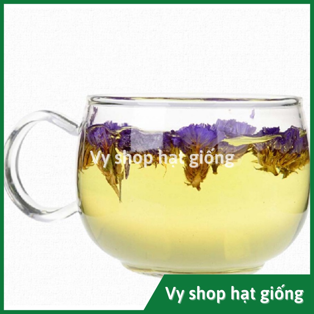 Hạt giống hoa salem Thái Lan gói 100 hạt mix màu