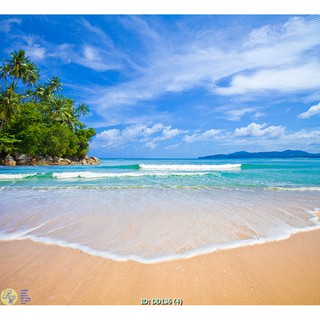 Tranh dán tường 3D biển đại dương, tranh thế giới dưới đại dương