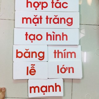 Combo thẻ flashcard bộ nhập tâm
