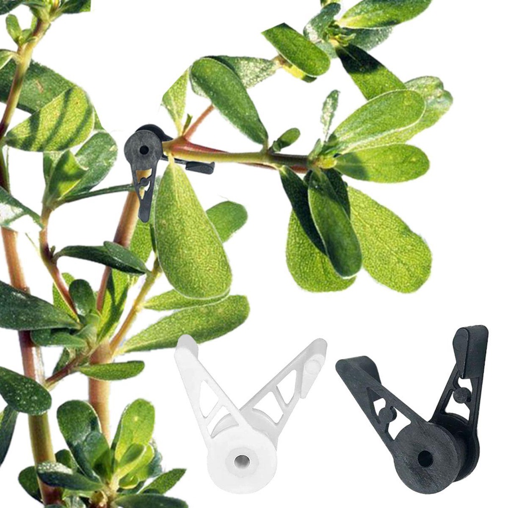 Dụng Cụ Nhựa Trồng Cây Xoay 360 Độ Giải Tỏa Căng Thẳng