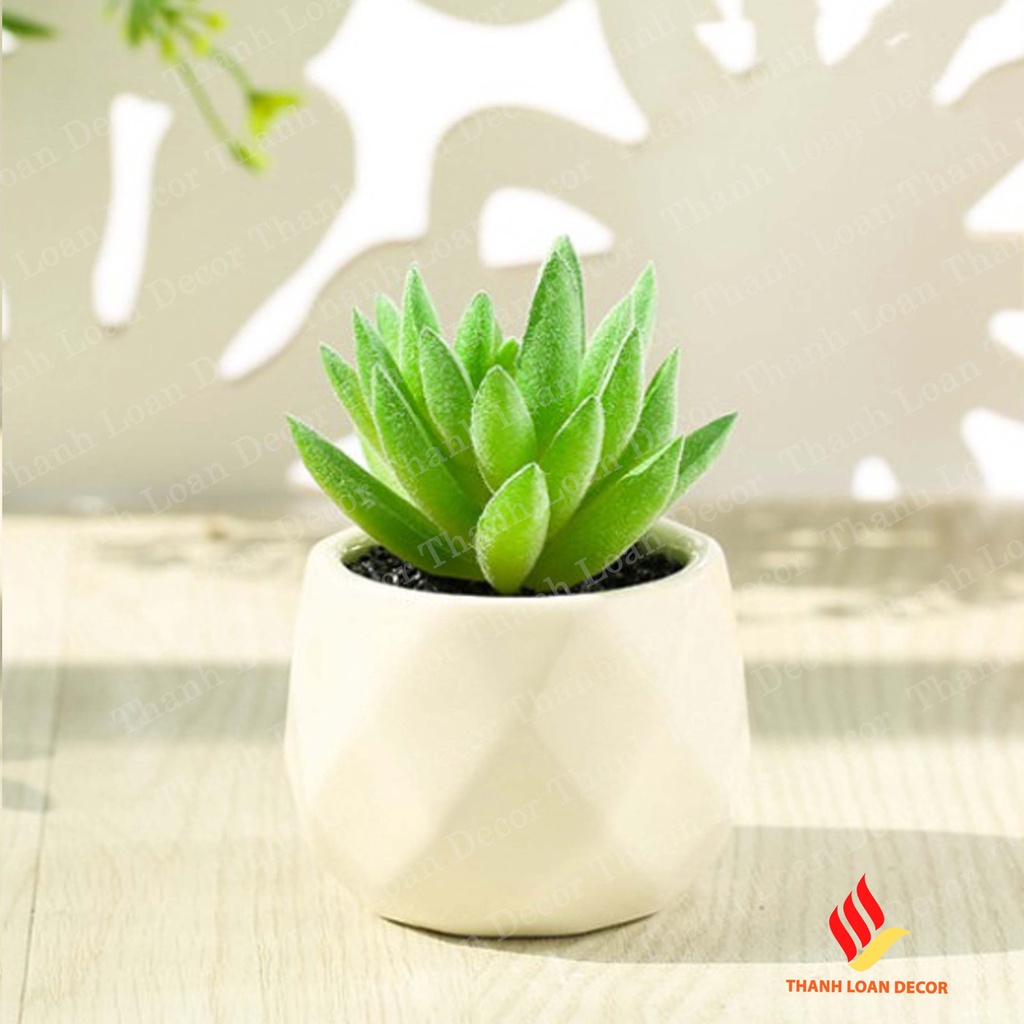 Chậu sứ mini Bát Tràng - Trồng sen đá, xương rồng để bàn xinh xắn - Màu trắng