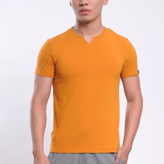 Áo T-Shirt Aristino cổ tim cực chất