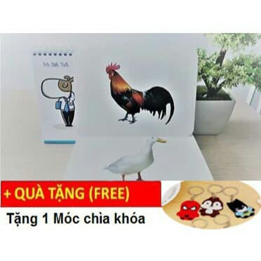 Bộ thẻ học thông minh loại to chống lóa mắt gồm 14 chủ đề và 280 thẻ song ngữ, gồm chữ cái và số tô màu