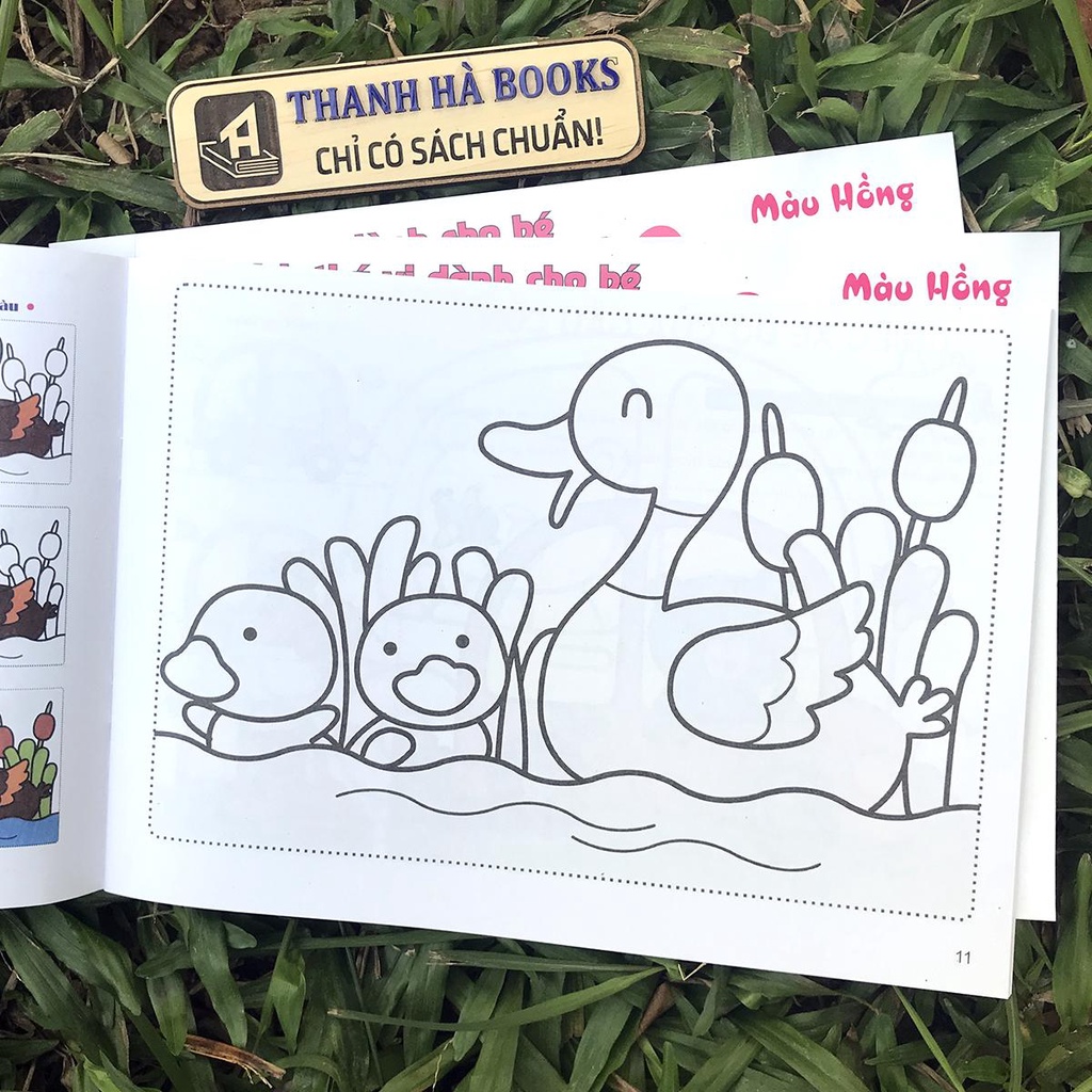 Sách - Bộ sách thú vị dành cho bé nhập môn tập tô: Bé Tập Tô Màu - Màu Hồng (2-6 tuổi)