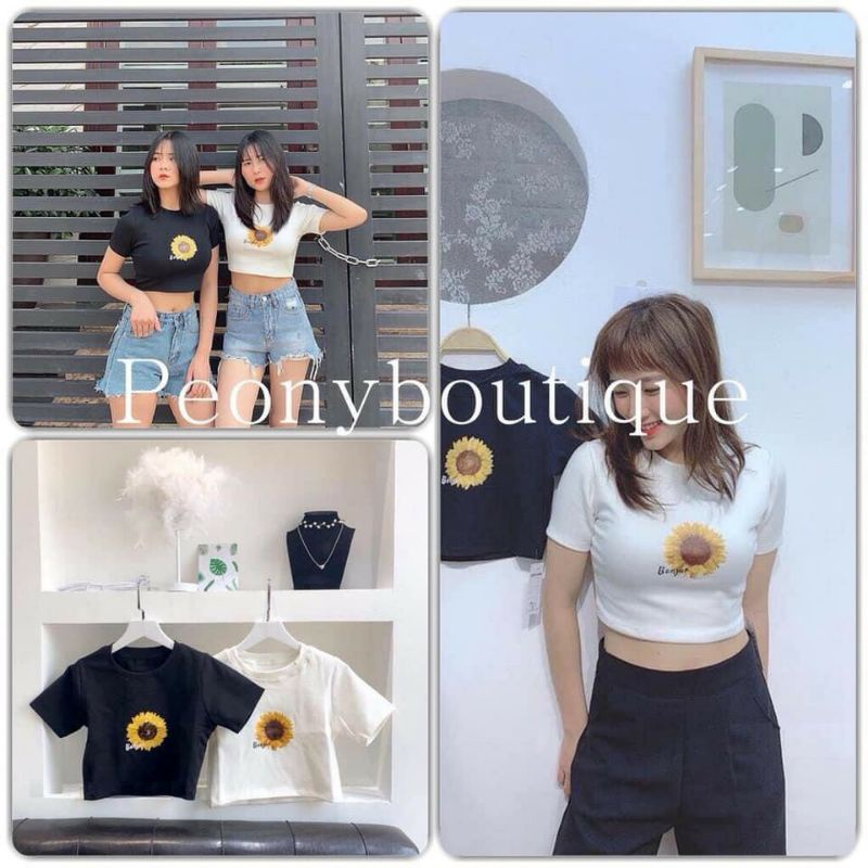 Áo croptop nữ tay ngắn ,from ôm body  ,freesize ,thun borip mềm mại co dãn cực tốt
