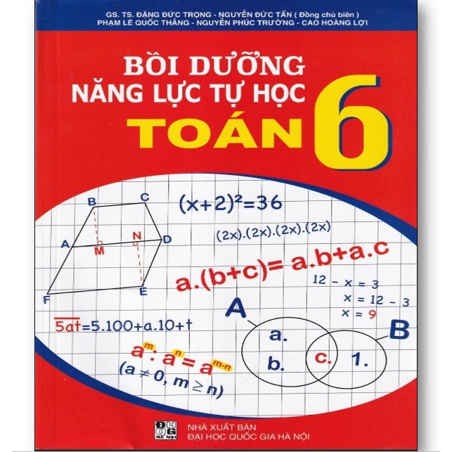 Sách - Bồi dưỡng năng lực tự học Toán 6