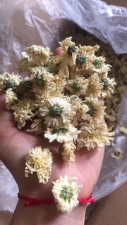 Trà hoa cúc trắng 100g