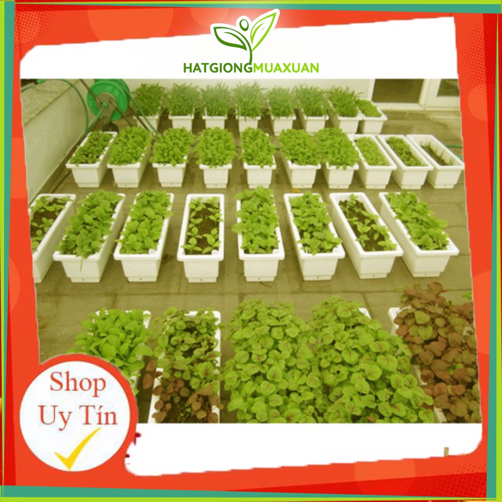 Bán Combo 5 chậu chữ nhật thông minh 48cm (chậu chữ nhật trồng rau, trồng hoa) nguyên seal.