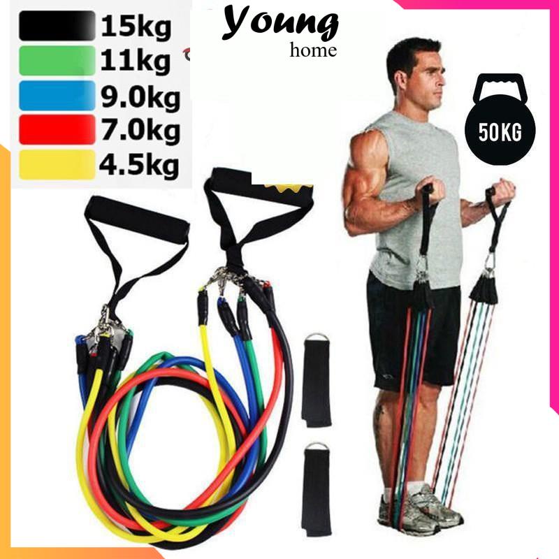 Bộ 5 Dây Ngũ Sắc Đàn Hồi Tập Gym Tại Nhà, Dụng Cụ Tập Bụng & Body Tại Nhà - YoungHome