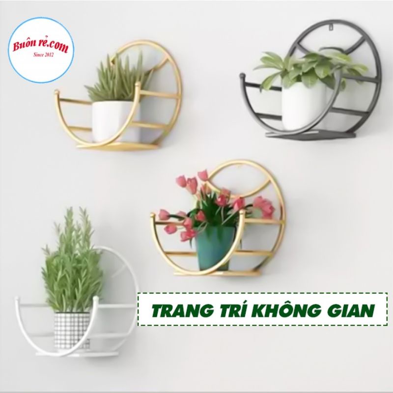 Giá treo cây cảnh dán tường hình tròn xinh xắn - Giá treo chậu hoa ở ban công 01423