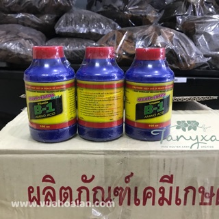 [RẺ VÔ ĐỊCH] Vitamin B1 Thái Lan 100ml