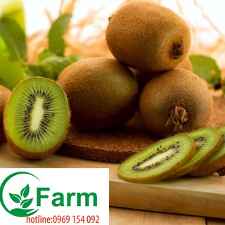 cây giống kiwi