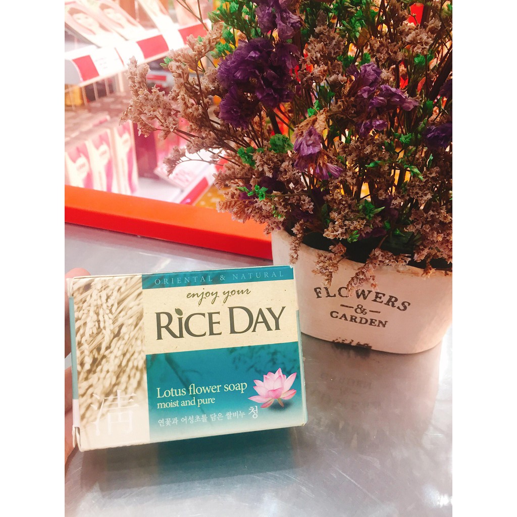 Xà Bông Cục RICEDAY