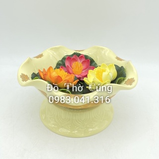 Hoa sen thả bể nước