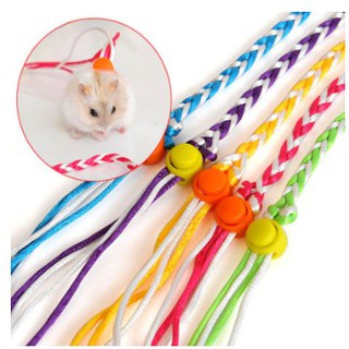 Dây dắt cho hamster