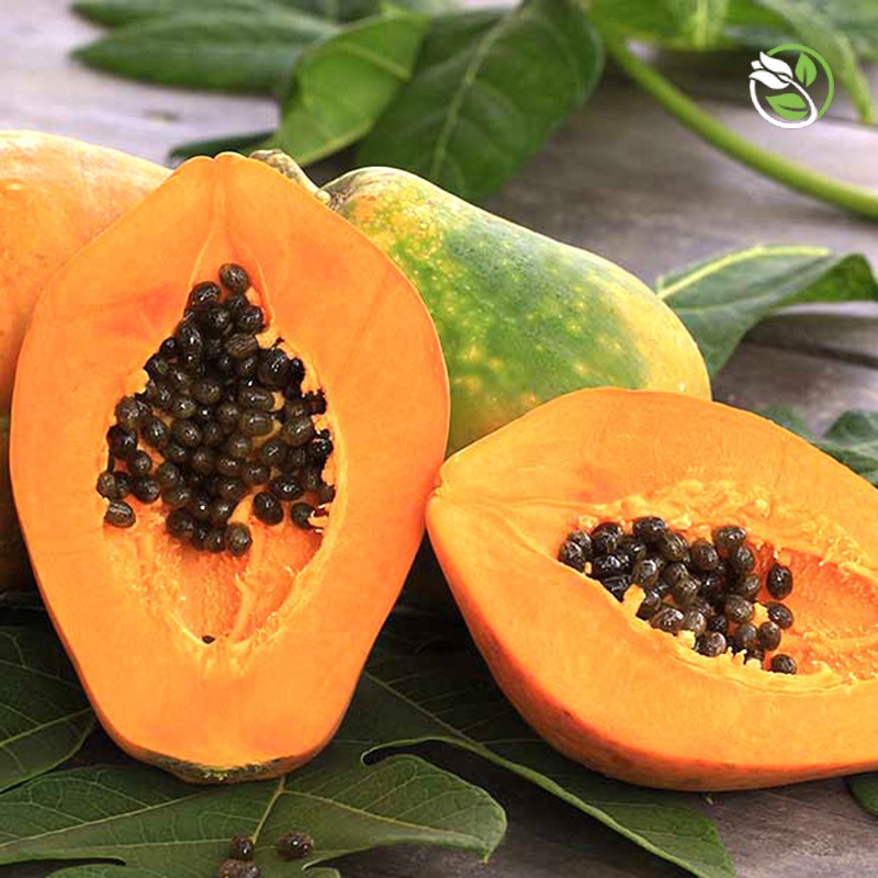 Hạt Giống Đu Đủ F1 Ruột Vàng 610 Phú Nông - Gói 10 hạt - Papaya Yellow Flesh