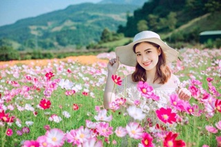 Hạt giống hoa cánh bướm