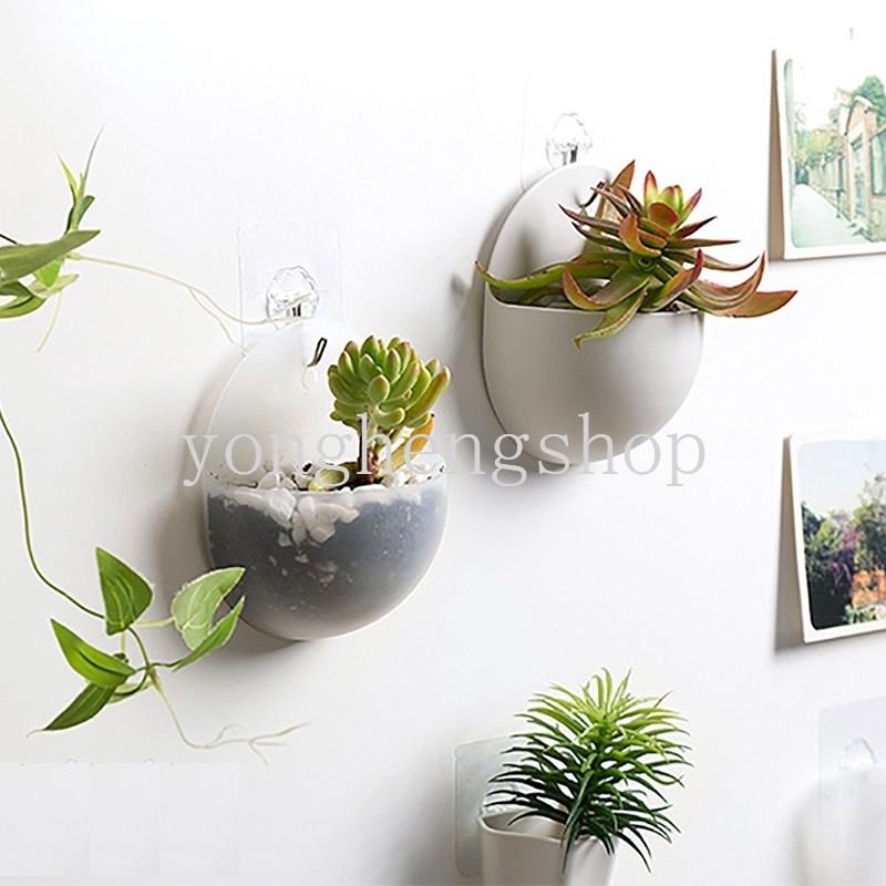 Bình Hoa Treo Tường Thiết Kế Dễ Thương Có Móc Tiện Dụng Trang Trí Nhà Cửa/ Văn Phòng