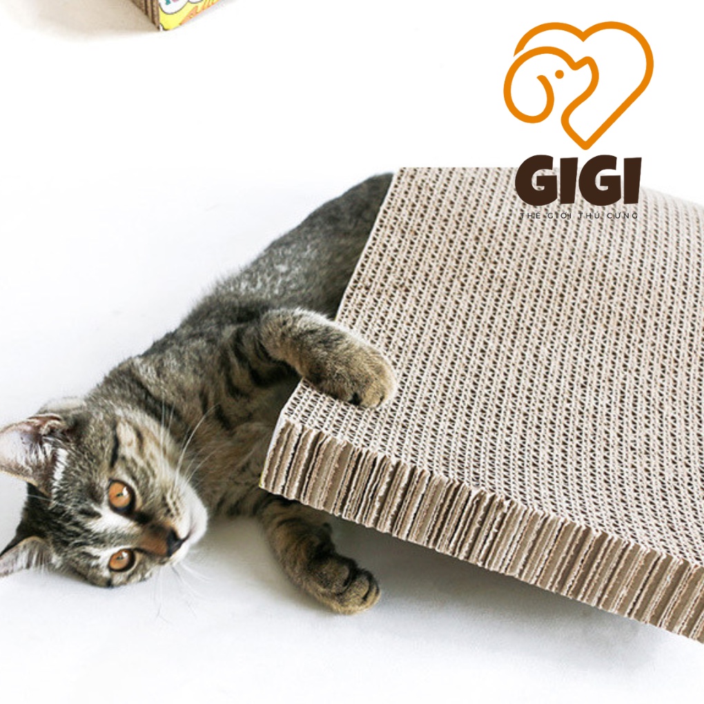 Bàn cào móng mèo lượn sóng kèm canip làm bằng chất liệu cartong phụ kiện cho thú cưng sạch móng  - GiGi Pet Shop