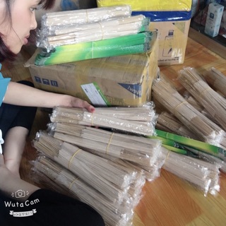 Combo 20 hop Hương muỗi Thái