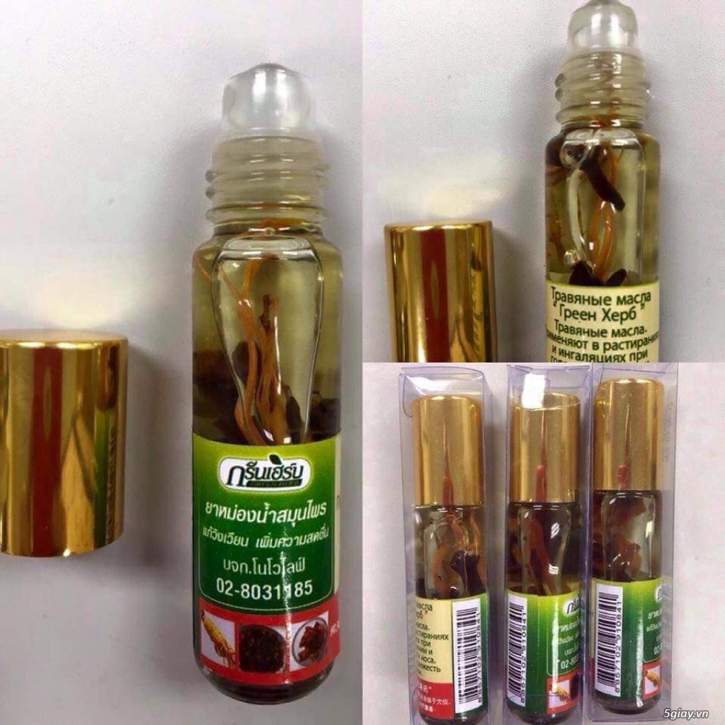 Dầu Lăn Nhân Sâm Thảo Mộc Ginseng Green Herb Oild Thái Lan