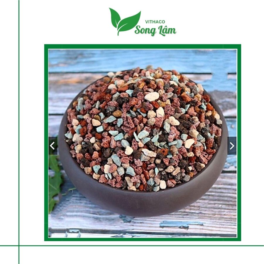 Đá cầu vồng trồng sen đá, xương rồng size 3-6mm giữ màu sen đá cực đẹp