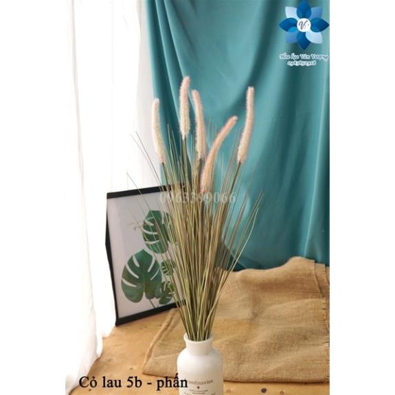 Hoa Giả - Cây Cỏ Lau Cành 5 Bông