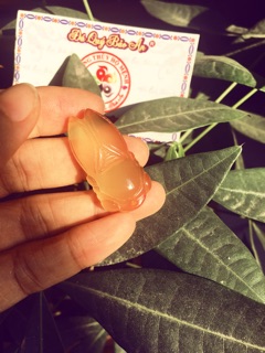 NGỌC THIỀN (Ve Sầu)